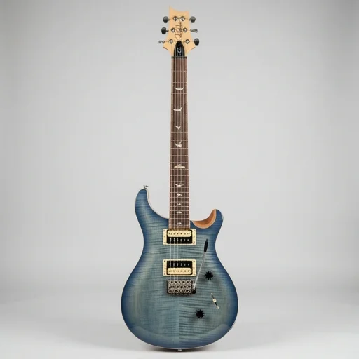 Prs Se Custom 24