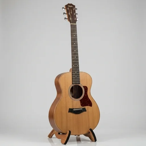 Taylor Gs Mini