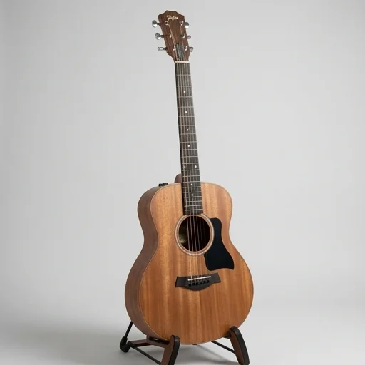 Taylor Gs Mini