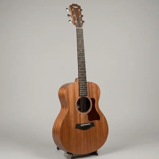 Taylor Gs Mini